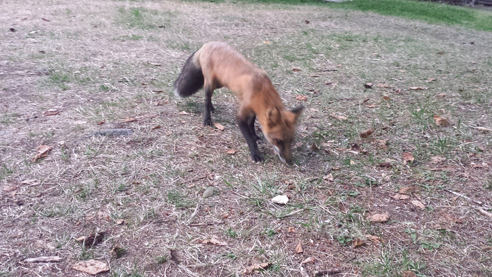 20140824_201321_1-MOTION