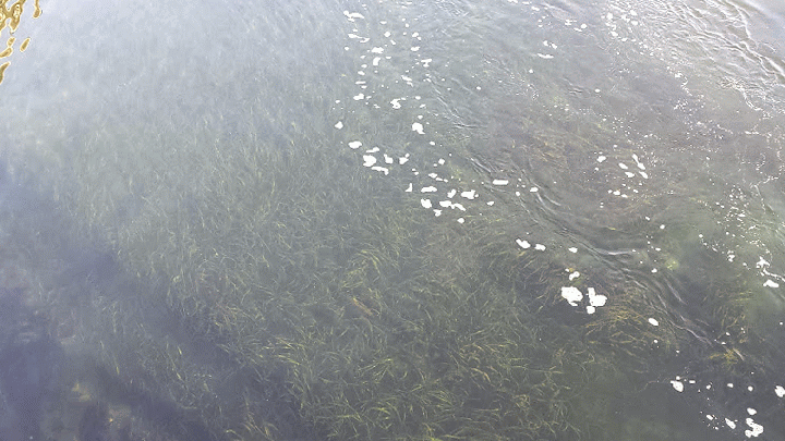 20140825_081750_1-MOTION