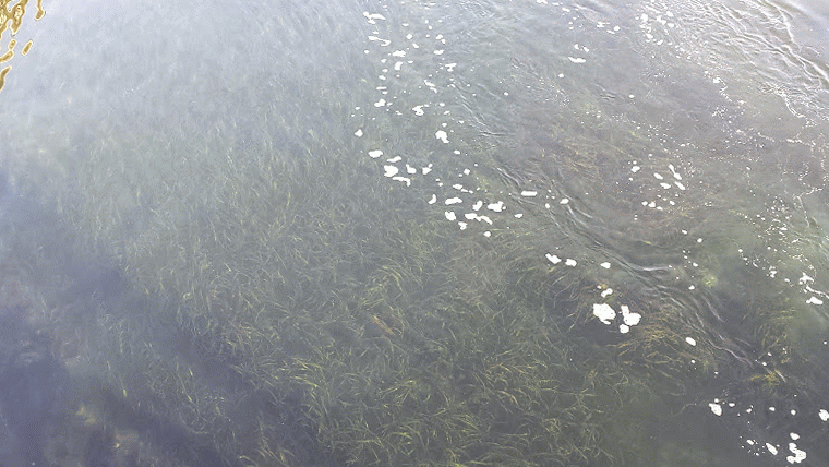 20140825_081750_1-MOTION