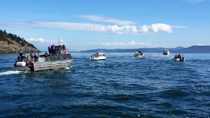 20140901_140302_1-MOTION