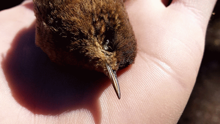 20140910_111224_1-MOTION