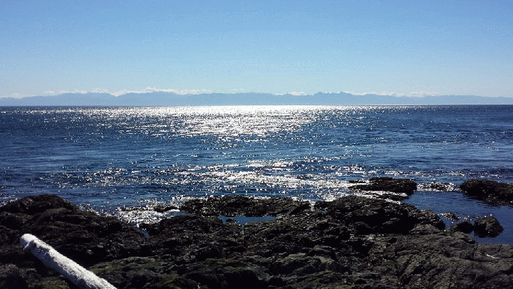 20140910_142930_1-MOTION