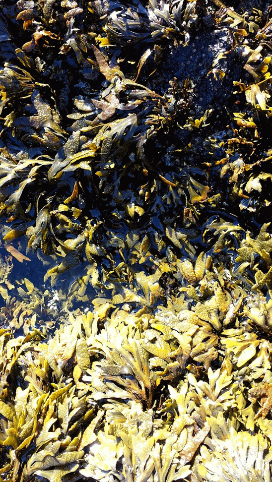 20140920_105247_1-MOTION