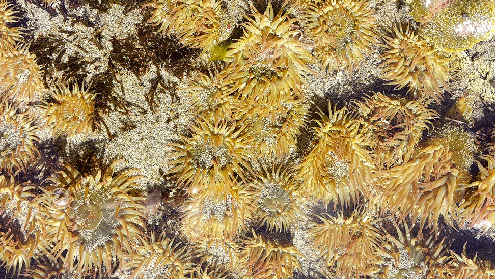 20140920_111951_1-MOTION