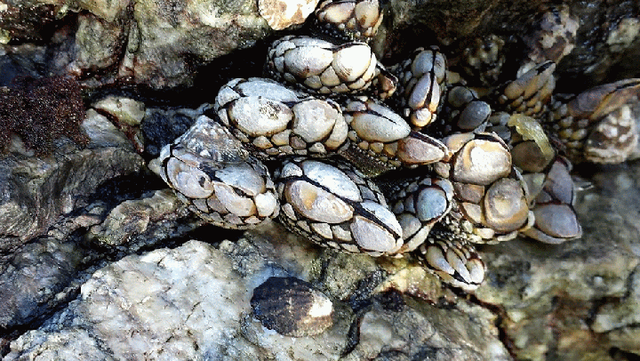 20140920_114133_1-MOTION