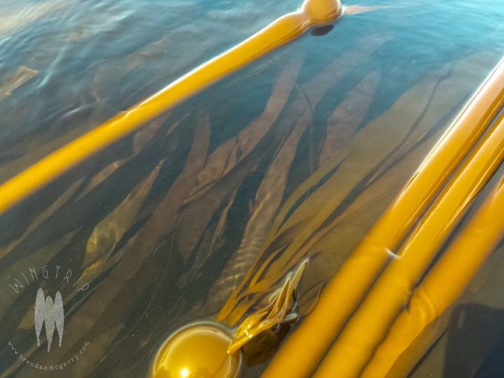 Brendan_McGarry_140530_00044