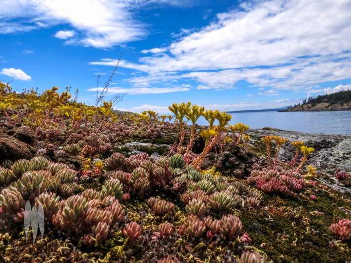 Brendan_McGarry_140624_00058