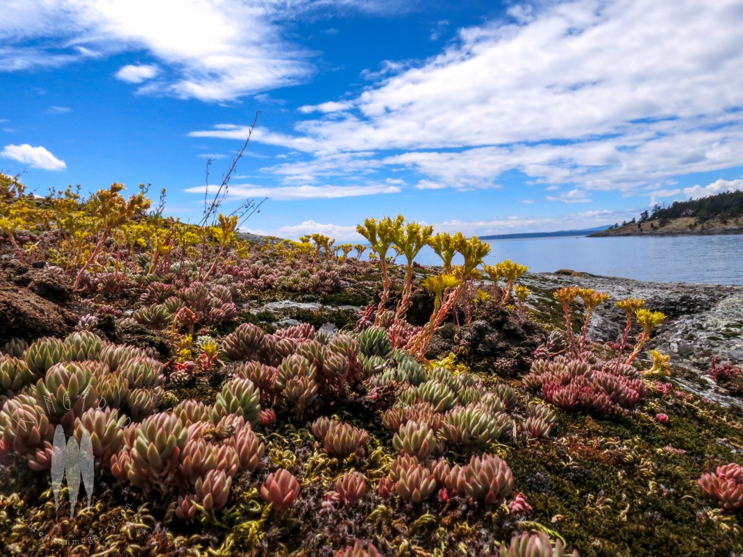 Brendan_McGarry_140624_00058