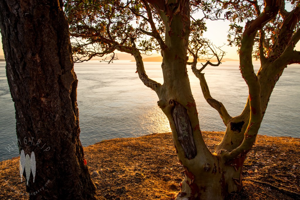 Brendan_McGarry_140715_00437