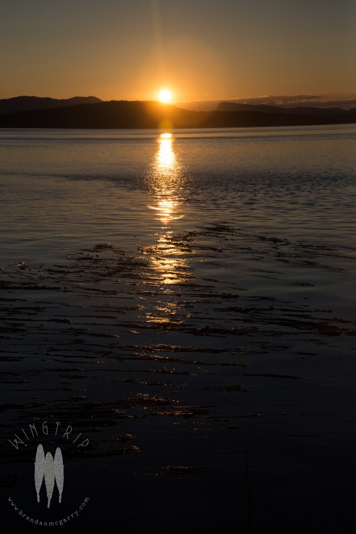 Brendan_McGarry_140726_00144