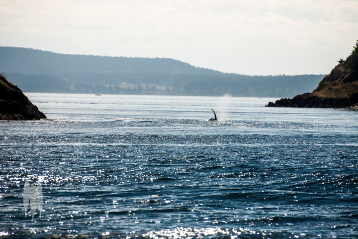 Brendan_McGarry_140901_00003