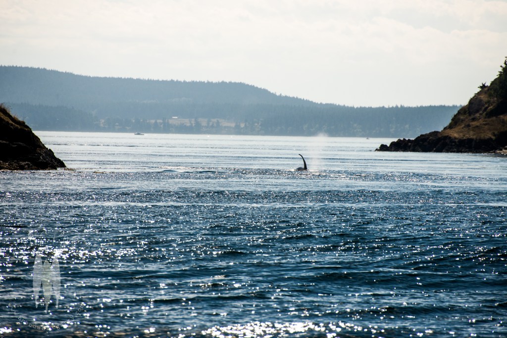 Brendan_McGarry_140901_00003