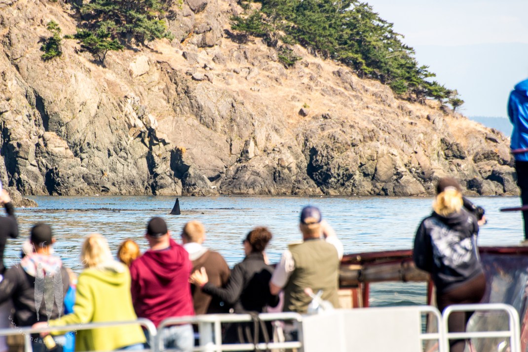 Brendan_McGarry_140901_00057