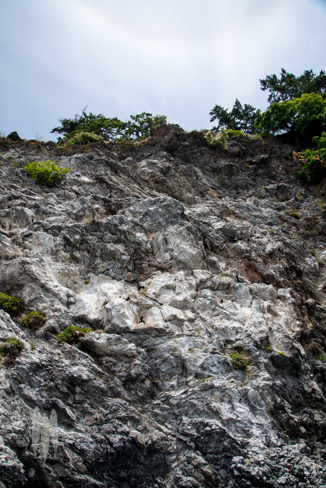 Brendan_McGarry_140611_00085