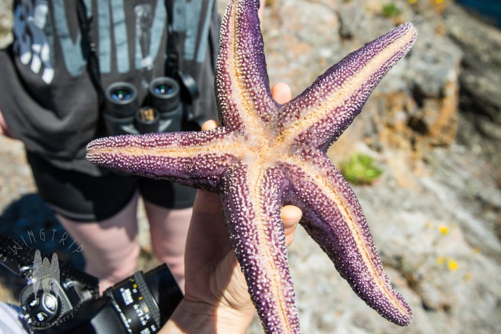 Brendan_McGarry_140708_00256