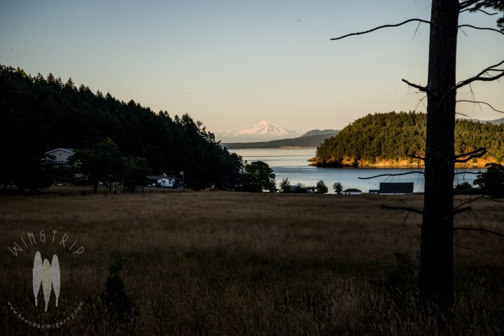 Brendan_McGarry_140726_00102