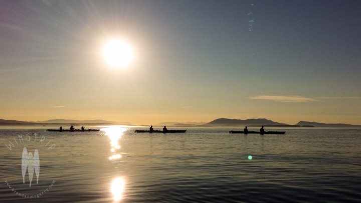 Brendan_McGarry_140729_00193