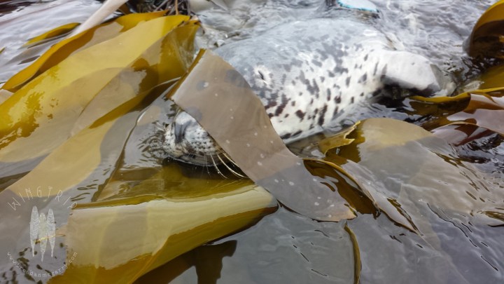 Brendan_McGarry_140816_00001