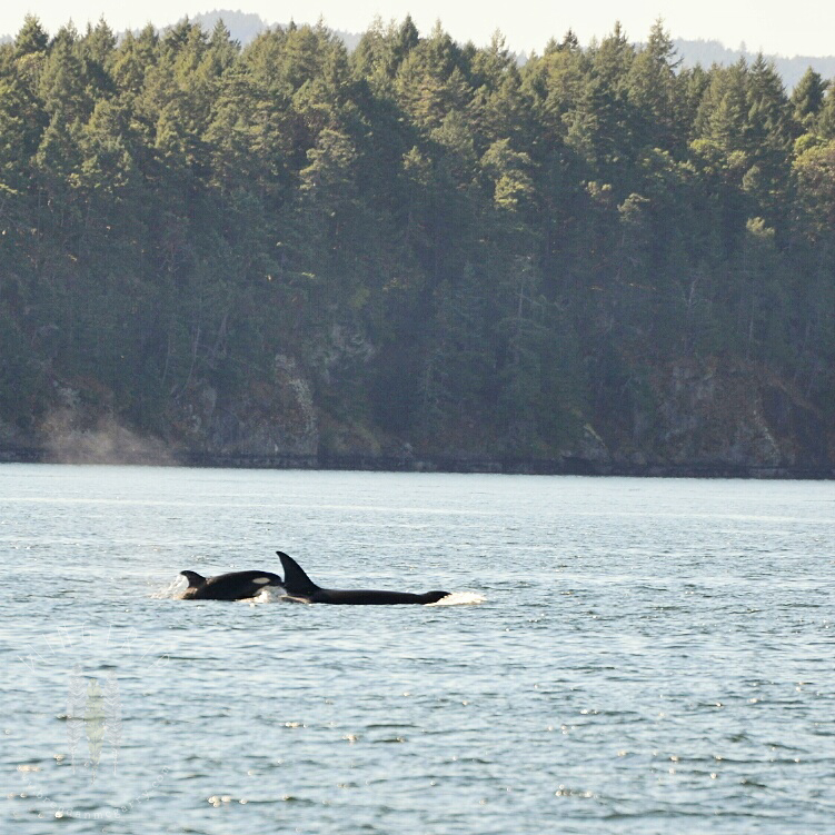 Brendan_McGarry_140911_00023