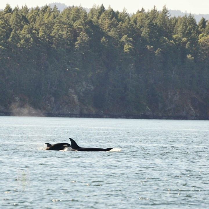 Brendan_McGarry_140911_00023