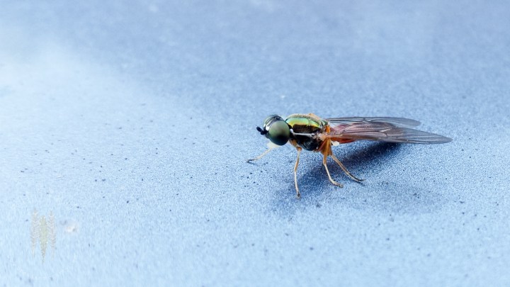 Brendan_McGarry_140912_00282