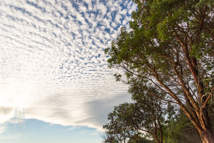 Brendan_McGarry_141003_00294