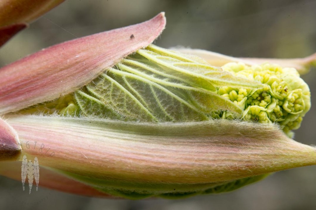 Brendan_McGarry_150324_00899