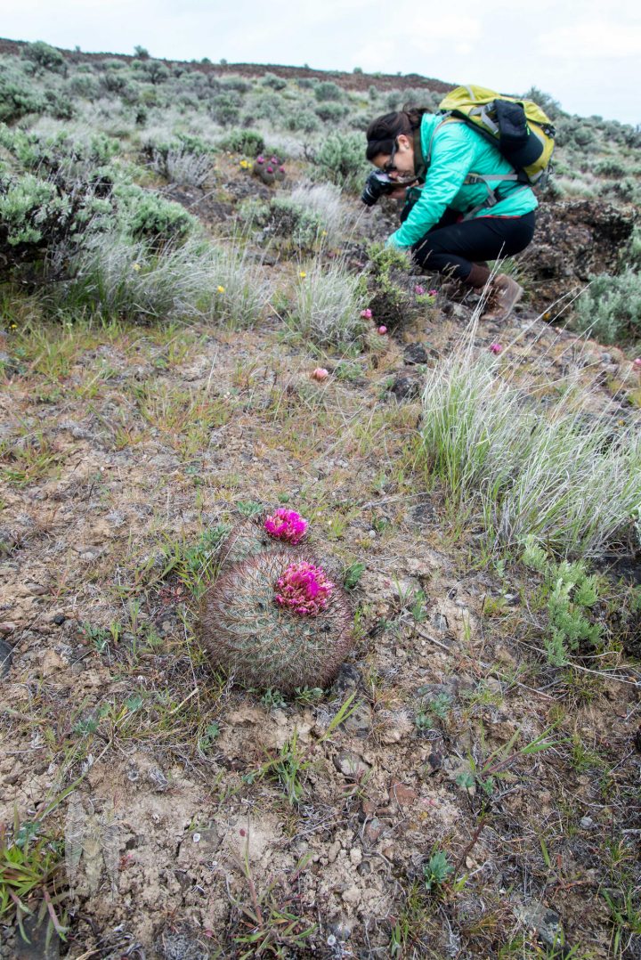 17747534138_bd51b12a91_k