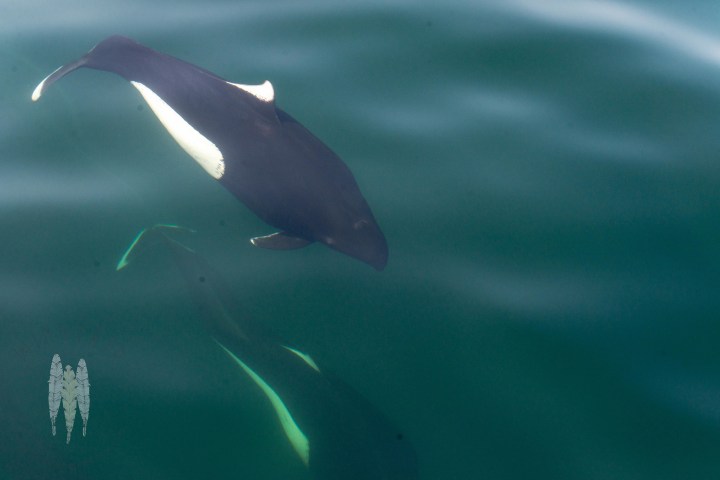 17748163970_d0acdf2f70_k