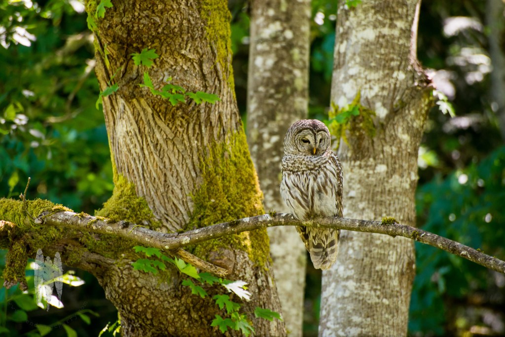 Brendan_McGarry_150608_00008