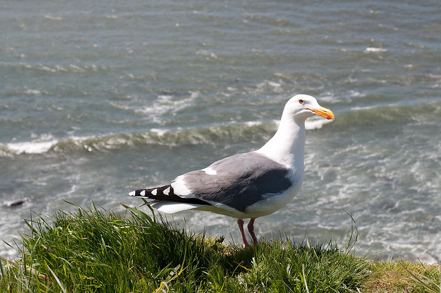 3508005063_2268265e89_z