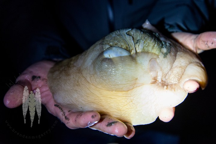 Brendan_McGarry_140131_00142