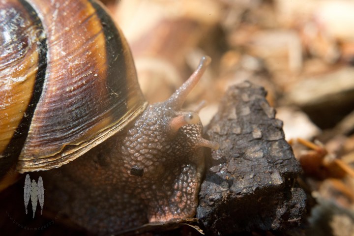 Brendan_McGarry_150713_00042