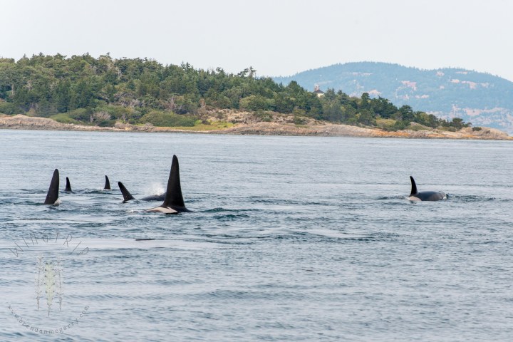 Brendan_McGarry_150812_00086