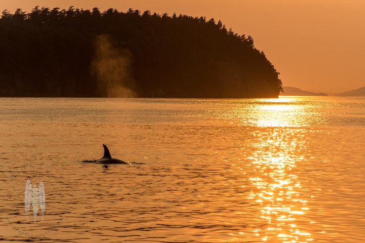 Brendan_McGarry_150812_00193