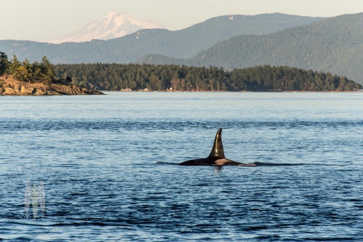 Brendan_McGarry_150818_00133