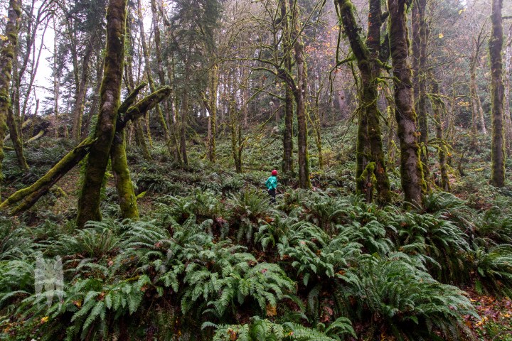 Brendan_McGarry_151109_00005