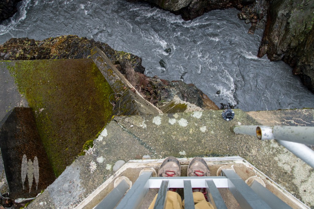 Brendan_McGarry_151109_00053-2