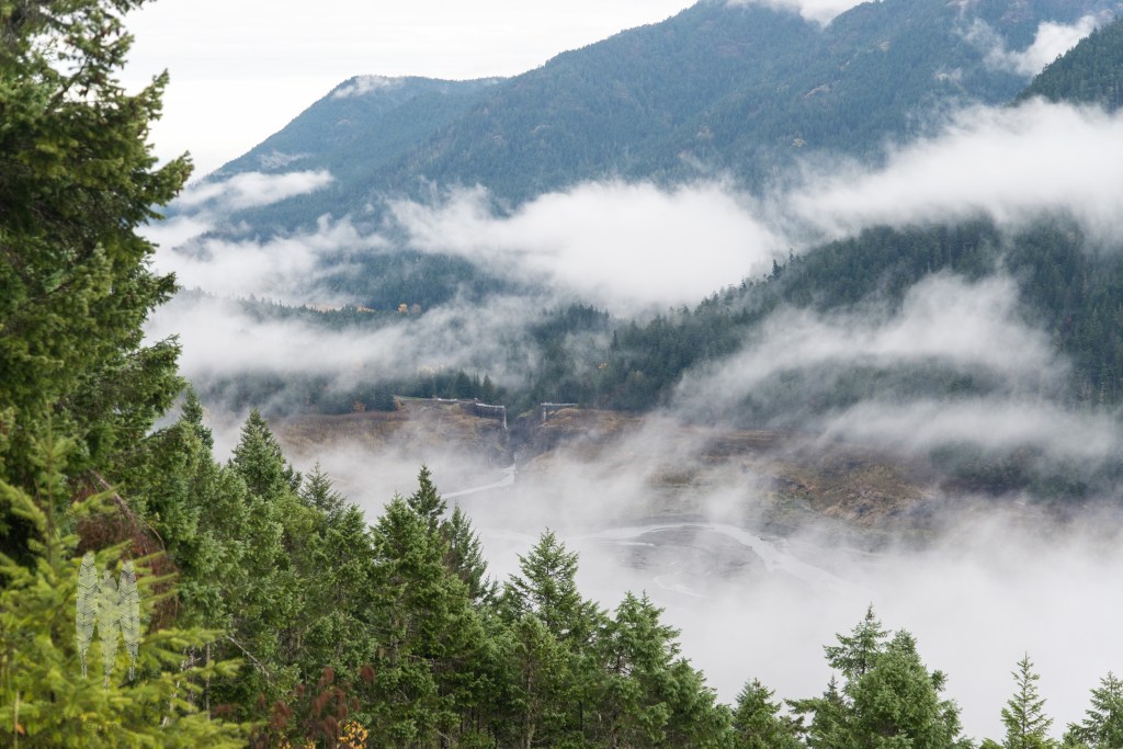 Brendan_McGarry_151109_00103-2