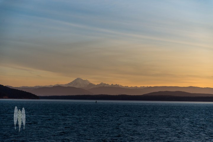 Brendan_McGarry_150114_00015-2