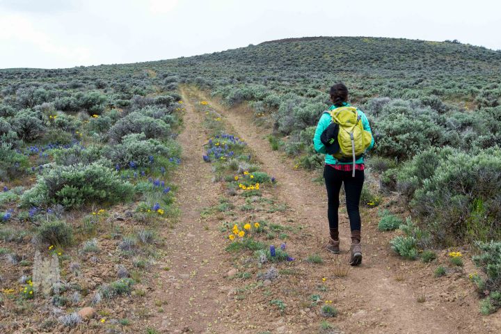 Brendan_McGarry_150412_00119