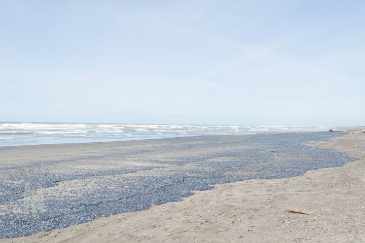 Brendan_McGarry_150415_00001