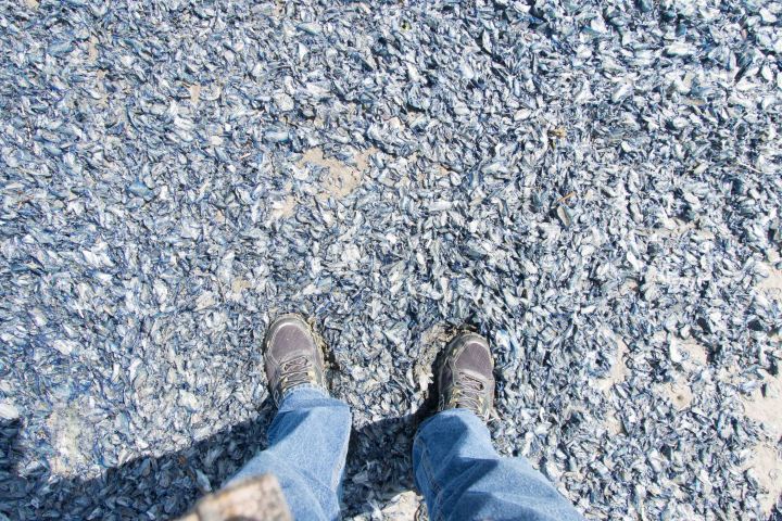 Brendan_McGarry_150415_00011