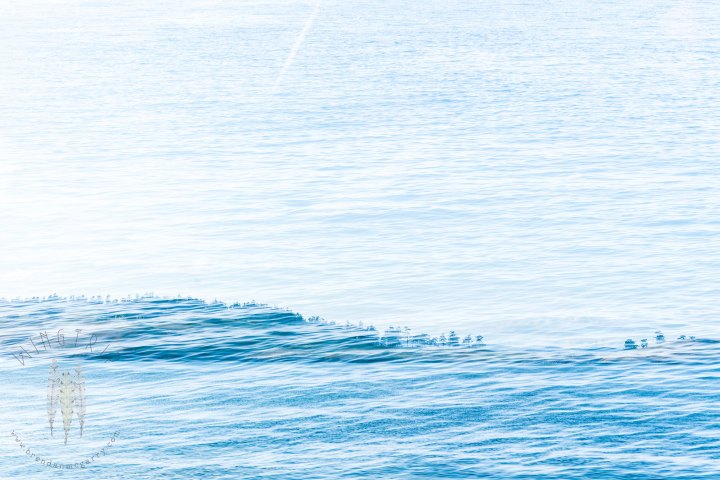 Brendan_McGarry_150501_00132