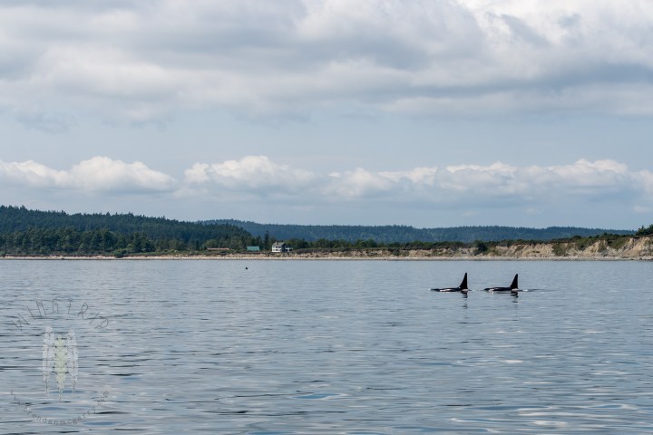 Brendan_McGarry_150512_00017