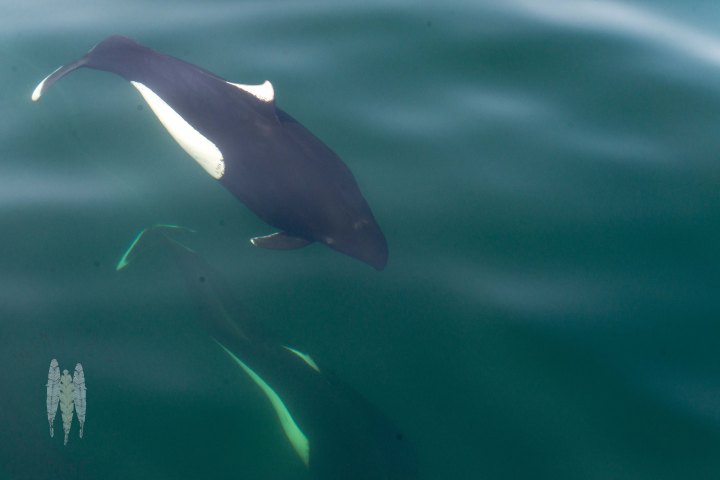 Brendan_McGarry_150516_00067