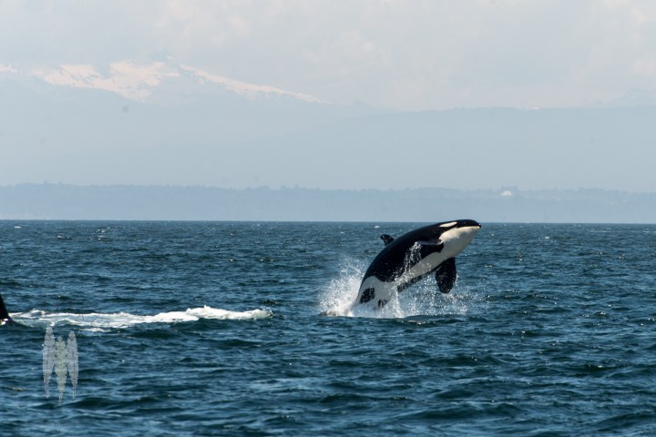 Brendan_McGarry_150519_00021