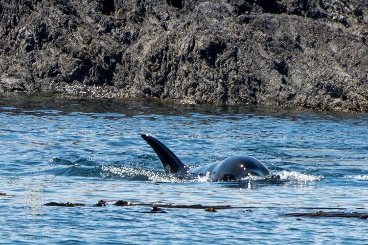 Brendan_McGarry_150722_00017