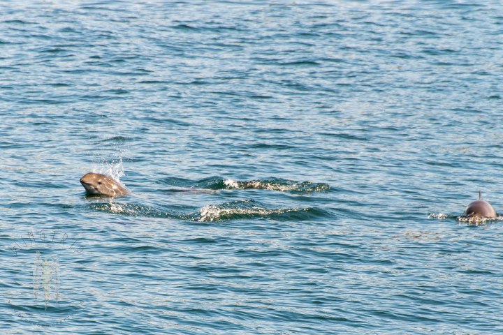 Brendan_McGarry_150810_00129