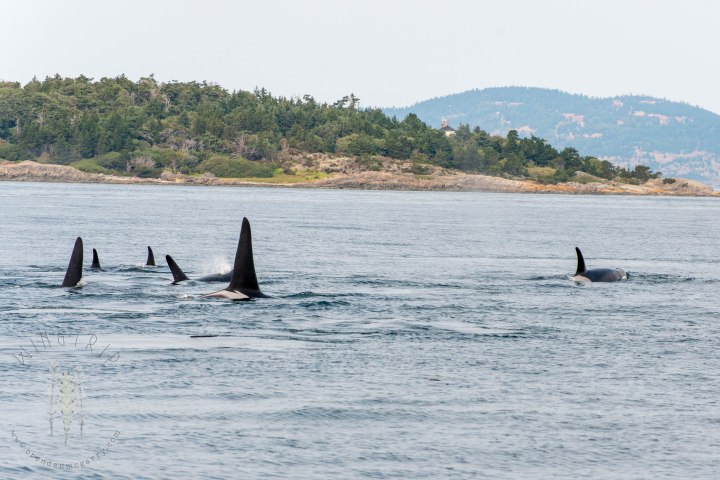 Brendan_McGarry_150812_00086